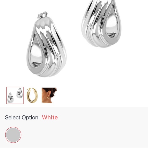 14k White Gold Earrings - Picture 1 of 5